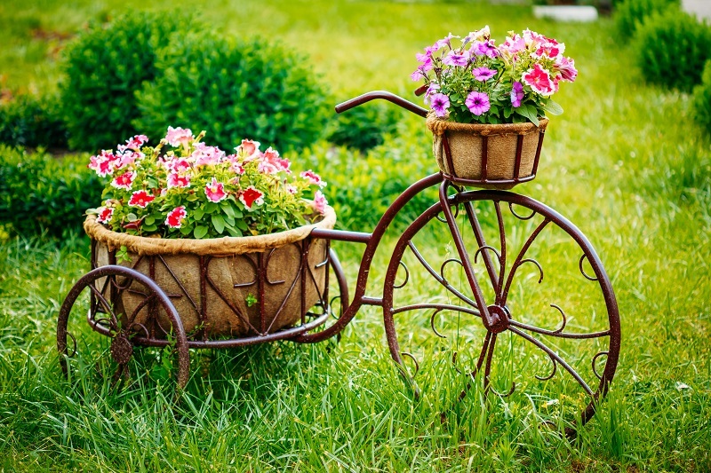 Flowers flowers  / vibrant flowers