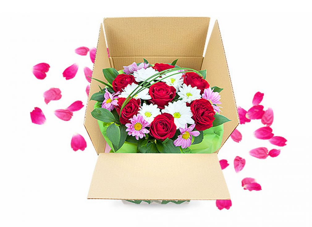 Delivery